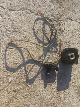 손 무현님의 기타작물 · 영농일지 작성글 사진