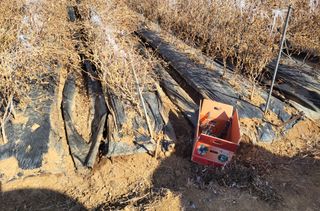 정택님의 기타작물 · 영농일지 작성글 사진