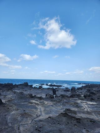 신 난다님의 기타작물 · 영농일지 작성글 사진