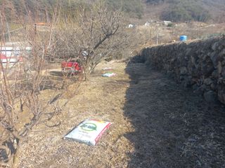 손 무현님의 기타작물 · 영농일지 작성글 사진