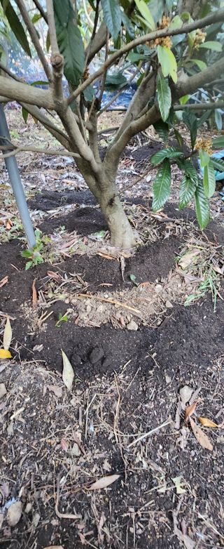 김상철님의 기타작물 · 영농일지 작성글 사진