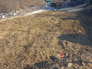 손 무현님의 기타작물 · 영농일지 작성글 사진