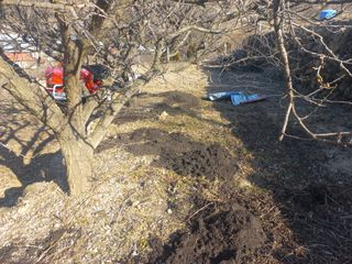 손 무현님의 기타작물 · 영농일지 작성글 사진