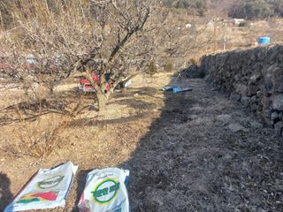 손 무현님의 기타작물 · 영농일지 작성글 사진