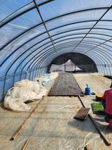 팜모닝 기타작물·영농일지 게시글 이미지