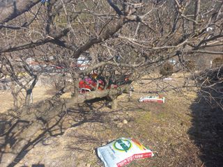 손 무현님의 기타작물 · 영농일지 작성글 사진