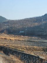 팜모닝 기타작물·영농일지 게시글 이미지