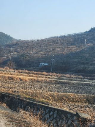 진짜뒤비진놈님의 기타작물 · 영농일지 작성글 사진