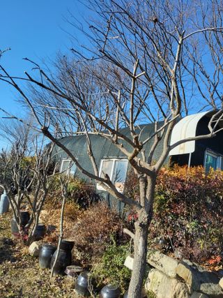 식만동 복합영농님의 기타작물 · 영농일지 작성글 사진