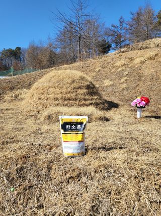 혜기농원(놀이터)님의 기타작물 · 영농일지 작성글 사진