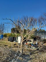 팜모닝 기타작물·영농일지 게시글 이미지