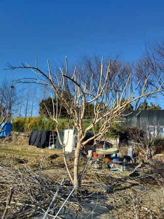 식만동 복합영농님의 기타작물 · 영농일지 작성글 사진