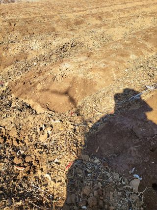 정택님의 기타작물 · 영농일지 작성글 사진