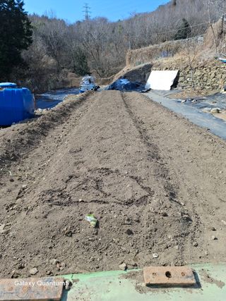 이세순님의 기타작물 · 영농일지 작성글 사진