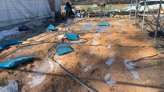 원스피릿팜님의 고추 · 영농일지 작성글 사진