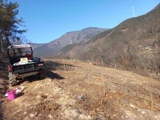 손 무현님의 두릅 · 영농일지 작성글 사진