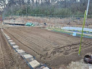 연모 자연의행복님의 기타작물 · 영농일지 작성글 사진