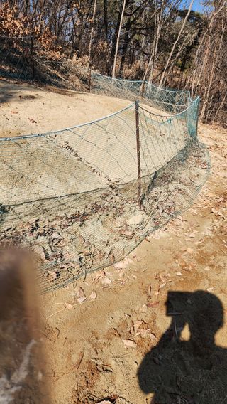 현길01021982님의 기타작물 · 영농일지 작성글 사진