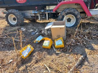 손 무현님의 두릅 · 영농일지 작성글 사진