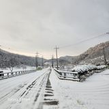 팜모닝 기타작물·영농일지 게시글 이미지