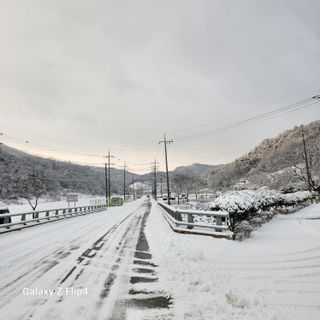 맹태임님의 기타작물 · 영농일지 작성글 사진