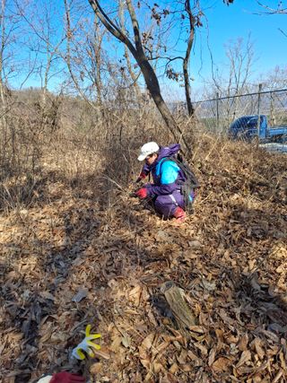 수기님의 두릅 · 영농일지 작성글 사진