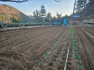 연모 자연의행복님의 기타작물 · 영농일지 작성글 사진