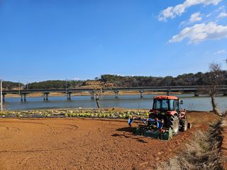 보리수치유농장님의 기타작물 · 영농일지 작성글 사진