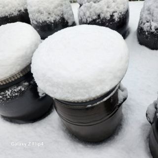 맹태임님의 기타작물 · 영농일지 작성글 사진