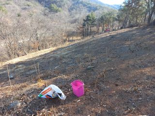 손 무현님의 두릅 · 영농일지 작성글 사진