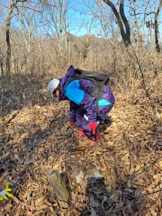수기님의 두릅 · 영농일지 작성글 사진