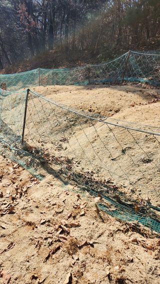 현길01021982님의 기타작물 · 영농일지 작성글 사진