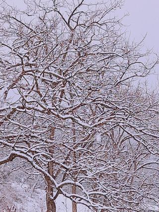 맹태임님의 기타작물 · 영농일지 작성글 사진