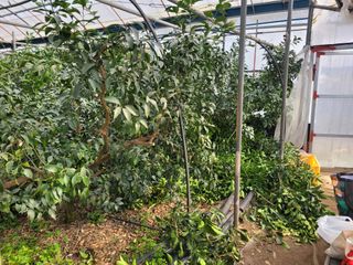 순간순간의있음님의 기타작물 · 영농일지 작성글 사진