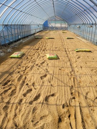 민원배님의 배추 · 영농일지 작성글 사진