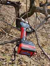 팜모닝 기타작물·영농일지 게시글 이미지