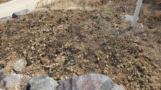 강성욱님의 기타작물 · 영농일지 작성글 사진