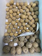 팜모닝 감자·영농일지 게시글 이미지