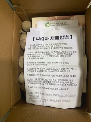 김유찬님의 감자 · 영농일지 작성글 사진