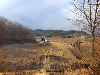 오이8898황산면님의 고추 · 영농일지 작성글 사진