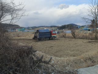 오이8898황산면님의 고추 · 영농일지 작성글 사진