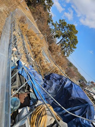 신신기루님의 기타작물 · 영농일지 작성글 사진