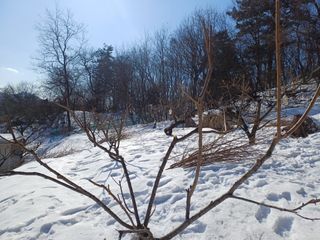 인산님의 기타작물 · 영농일지 작성글 사진