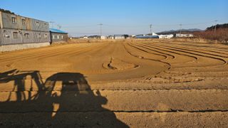 김남근님의 감자 · 영농일지 작성글 사진