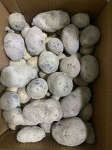 팜모닝 감자·영농일지 게시글 이미지