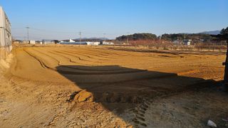 김남근님의 감자 · 영농일지 작성글 사진