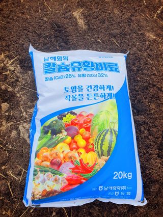 오이8898황산면님의 고추 · 영농일지 작성글 사진