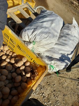 태일농산이정수님의 기타작물 · 영농일지 작성글 사진