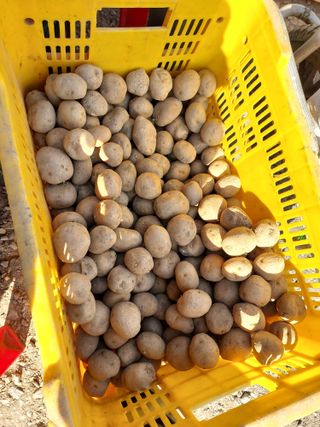 태일농산이정수님의 기타작물 · 영농일지 작성글 사진