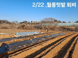 kh글로벌님의 기타작물 · 영농일지 작성글 사진